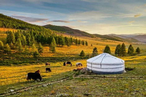 Circuit Au pays des nomades oulan_bator Mongolie
