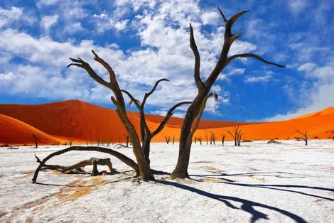 Dead vlei