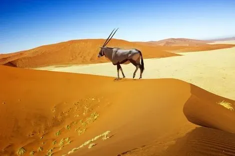 Circuit Découverte de la Namibie et chutes Victoria - Limité à 22 pers. - 2026 windhoek Namibie