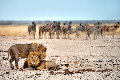Parc National d'Etosha