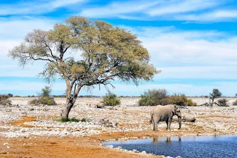 Parc national Etosha