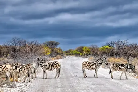 Circuit Sous le ciel d'Afrique : L'âme de la Namibie windhoek Namibie