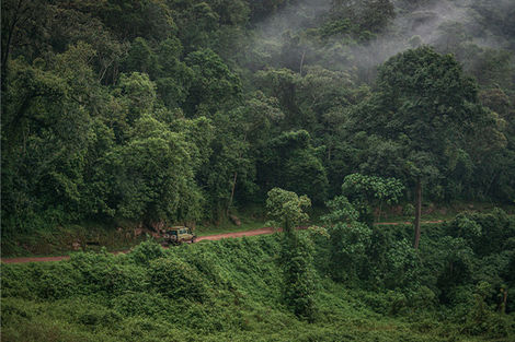 Bwindi