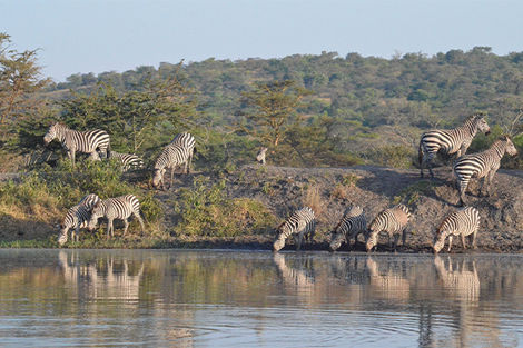 Lac Mburo