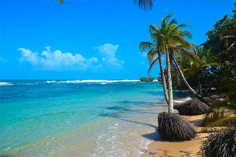 Isla Bastimentos - Bocas del Toro