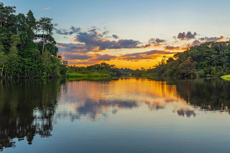 Amazonie