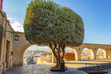 Arequipa