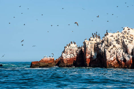 Îles Ballestas