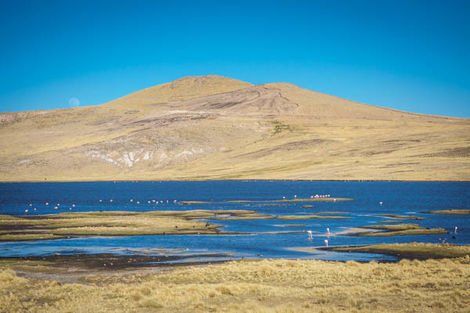 Laguna Lagunillas