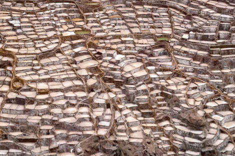 Maras