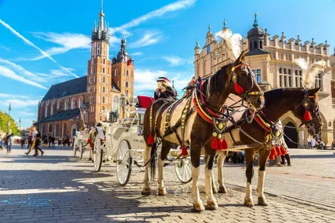 Circuit Marché de Noël, à Cracovie cracovie Pologne