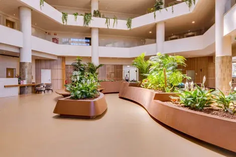Portugal : Hôtel Adult Only - Falésia Hotel