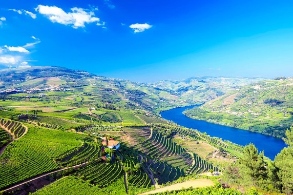 séjour Portugal - Circuit Le Portugal, entre Tage et Douro (en Royal Class)