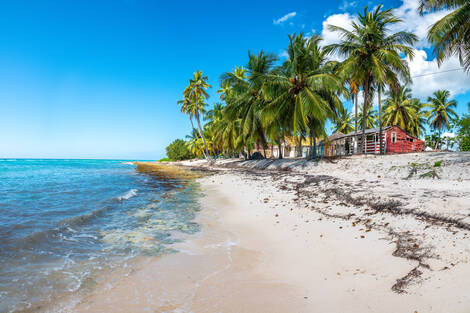 Club Circuit étoile base Framissima Catalonia Bavaro bavaro République Dominicaine