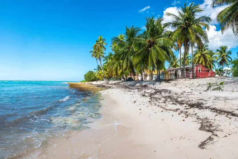 séjour République Dominicaine - Club Escapades au Cœur des Caraïbes, logement au Framissima Catalonia Bavaro