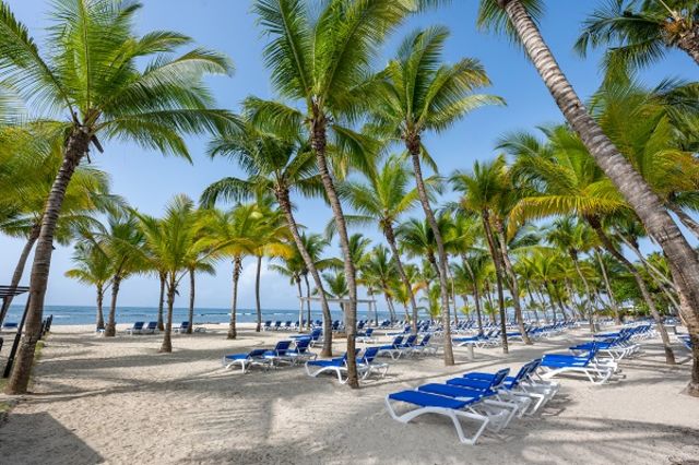 République Dominicaine : Hôtel Plein Vent Sélection Coral Costa Caribe Beach Resort