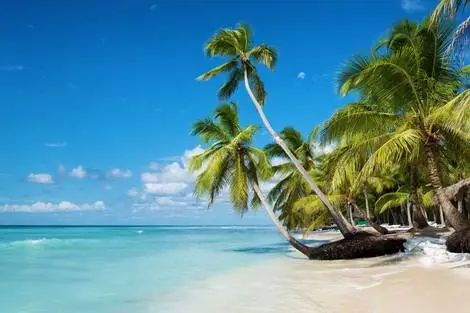 séjour Republique Dominicaine - Sunscape Coco Punta Cana 