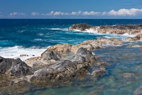 Côte Sud sauvage