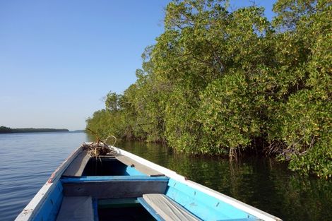 Delta de Saloum