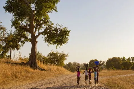 Circuit Saveur nature au Sénégal Dakar Senegal