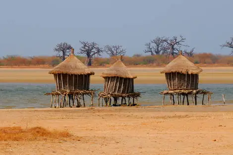 Circuit Sénégal, entre savane et plage du Framissima Riu Baobab dakar Senegal