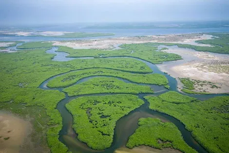 Circuit Le Sénégal, des dunes du Dakar au delta du Saloum dakar Senegal