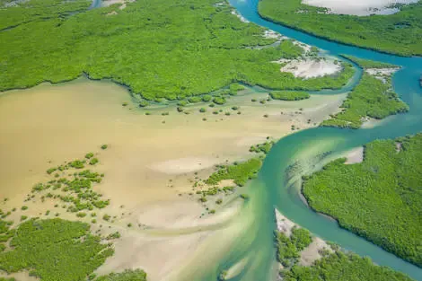 Circuit Beautés du Sénégal au coeur des Chefferies en privatif dakar Senegal