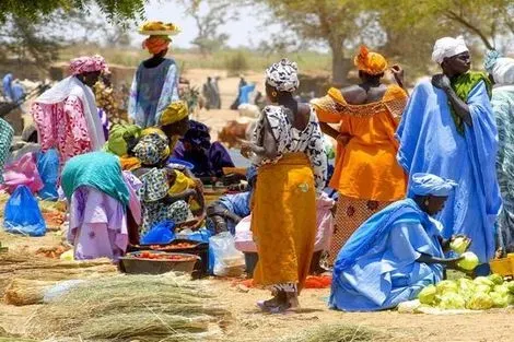 Circuit Couleurs du Sénégal & Séjour Kappa Club Royal Horizon Baobab dakar Senegal