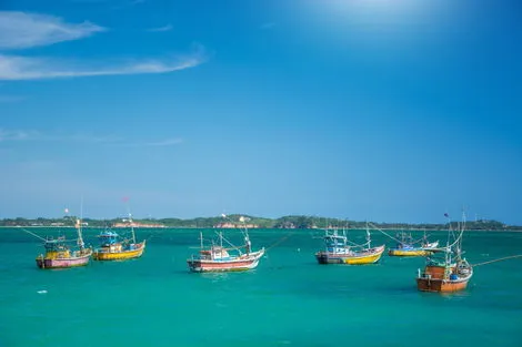 Bateaux de pêche