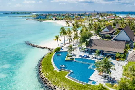 Piscine (Miss Olive Oyl Pool Bar)