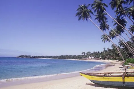 Circuit Découvertes Sri Lankaise & extension Meeru Island Resort and Spa colombo Sri Lanka