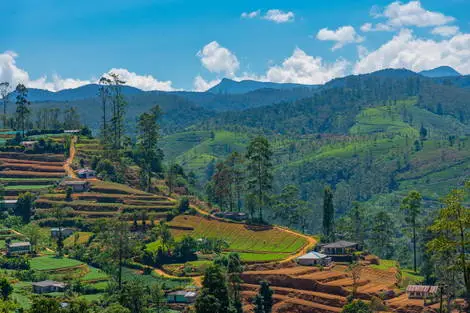 séjour Sri Lanka - Circuit Splendeurs Insolites de Ceylan (privatif)