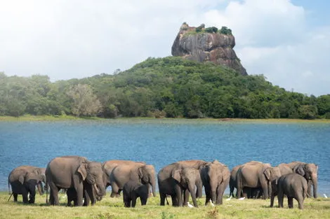 Sigiriya