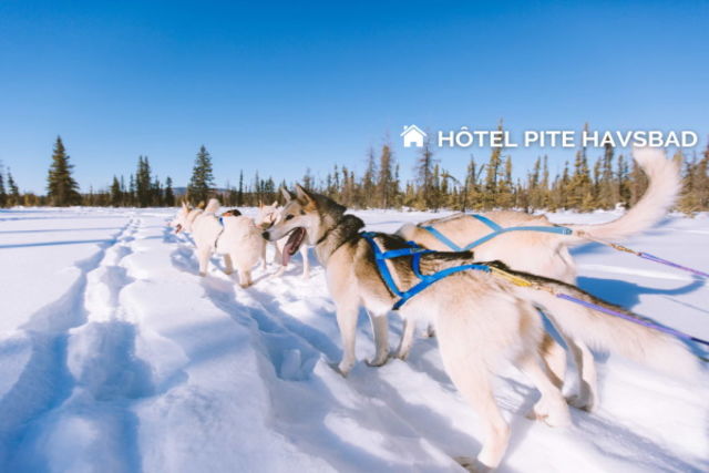 Suede : Hôtel Pite Havsbad - Séjour au coeur de la Laponie Suédoise