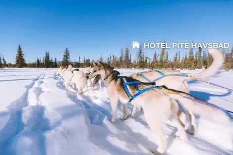 Hôtel Pite Havsbad - Séjour au coeur de la Laponie Suédoise lulea Suede