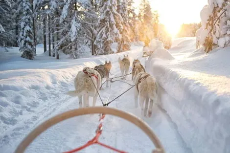 Hôtel Séjour liberté en Laponie - Scandic lulea Suede