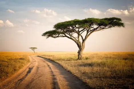 Circuit La Tanzanie Autrement 2026 arusha Tanzanie