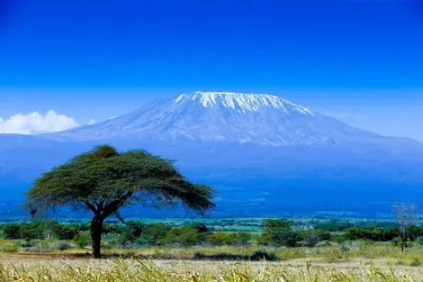 Circuit L'Essentiel de la Tanzanie & Zanzibar kilimanjaro Tanzanie