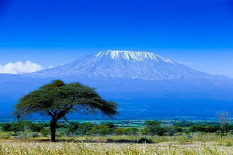 Circuit L'Essentiel de la Tanzanie & Zanzibar kilimanjaro Tanzanie