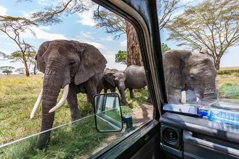 Combiné circuit et hôtel Safari entre grands parcs et lacs du nord de la Tanzanie kilimanjaro Tanzanie