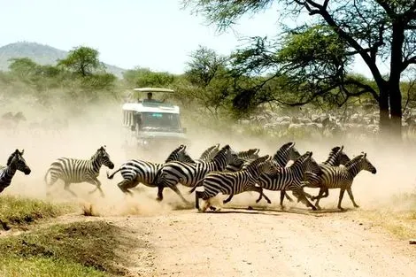 Circuit Safari Privatif - Evasion Sauvage en Tanzanie kilimanjaro Tanzanie