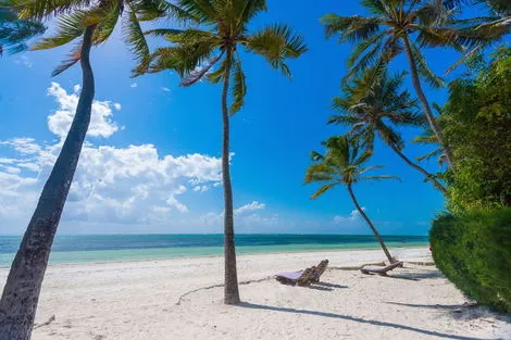 Tanzanie : Hôtel Indigo Beach Zanzibar - catégorie de Charme