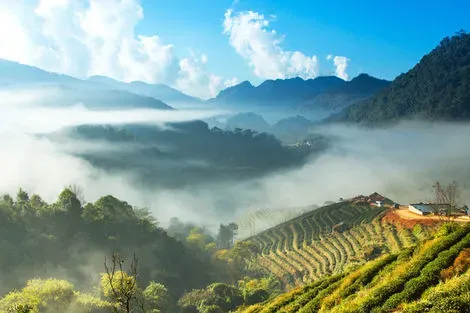 Chiang Rai