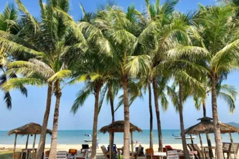 Thailande : Hôtel MyClub Dolphin Bay Resort