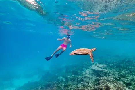 Snorkeling