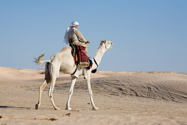séjour Tunisie - Circuit Sensations dans le sud tunisien en 4x4 - Ventes Flash