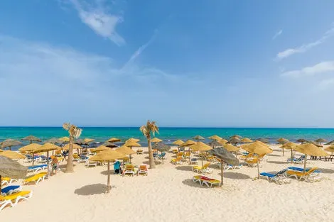 Club Jumbo Zodiac - Ventes Flash - WF hammamet Tunisie