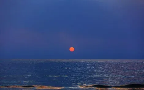 Hôtel Le Shalimar hammamet TUNISIE