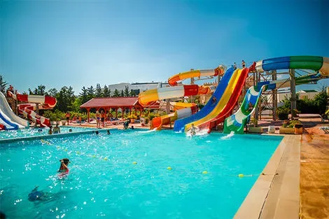 Toboggan
