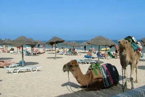 Tunisie : Hôtel Liberty Resort